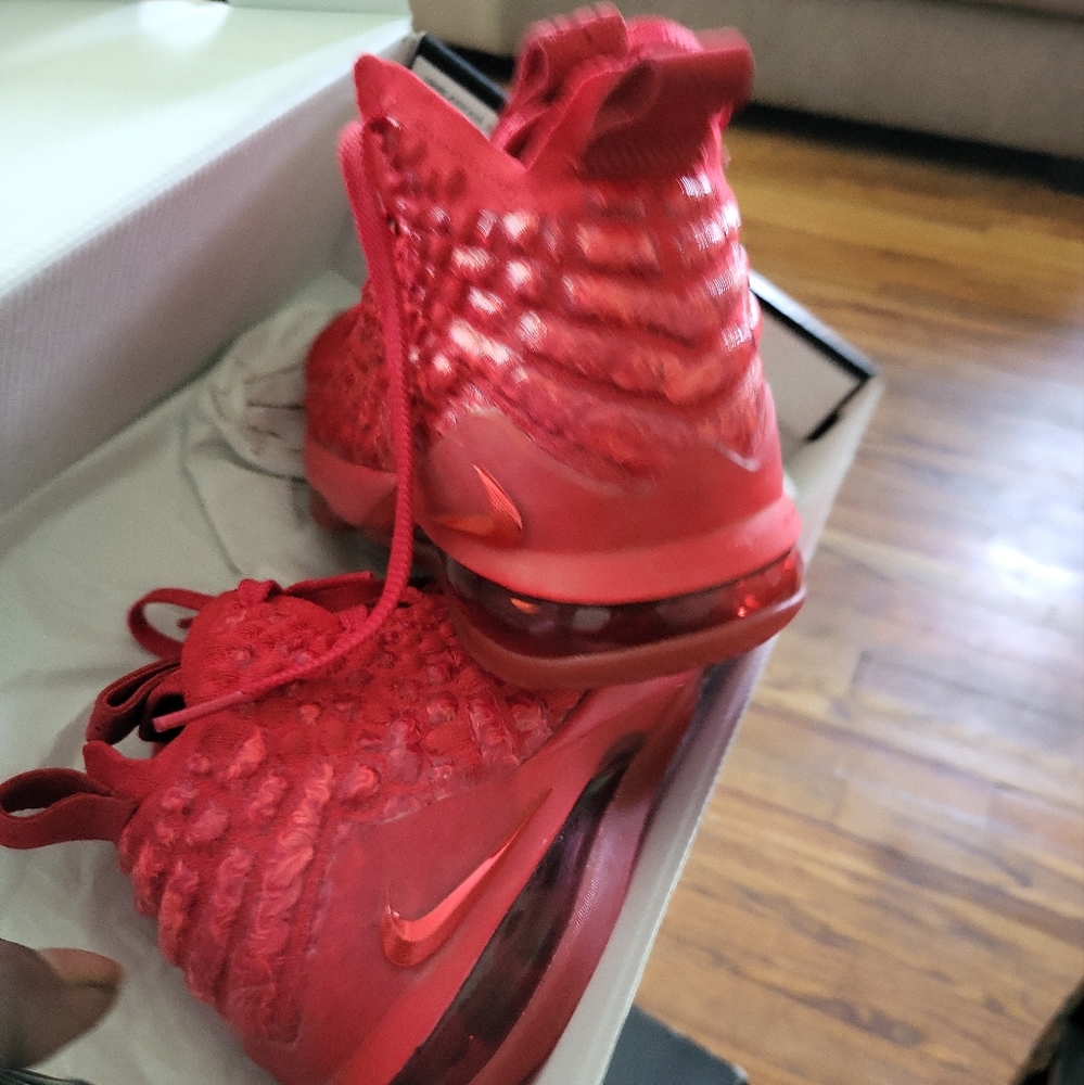 LeBron xvll
